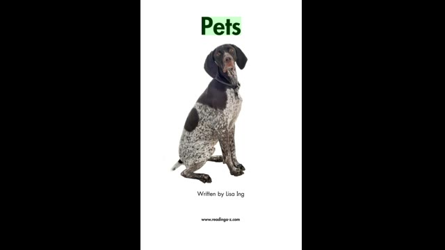 AA-04Pets