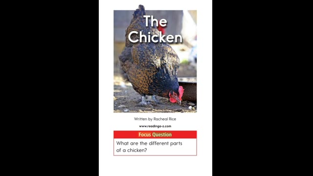 AA-15The Chicken