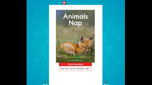 AA-19Animals Nap