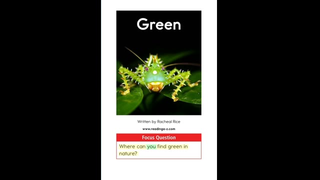 AA-24Green