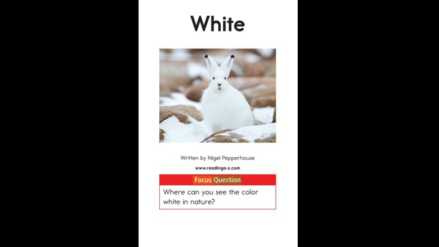 AA-27White