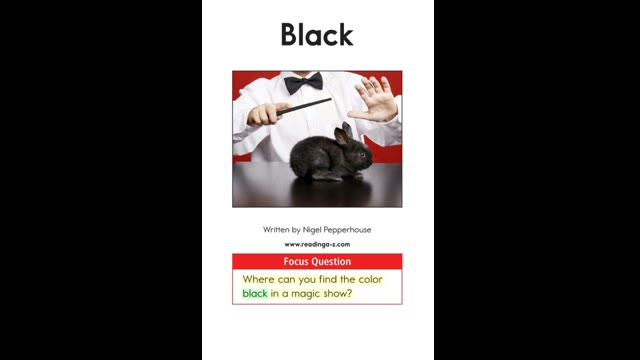 AA-28Black