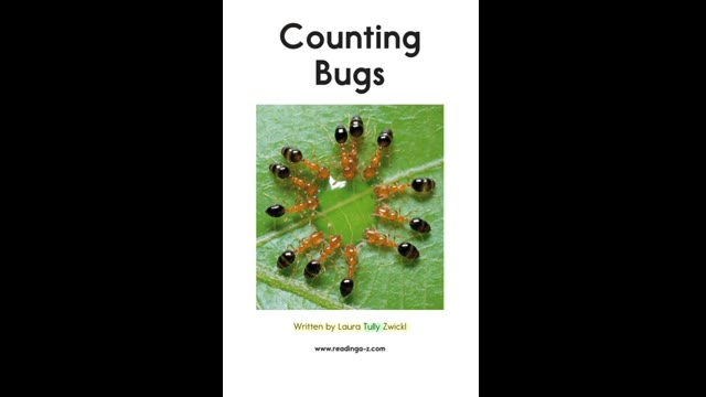 AA-41Counting Bugs